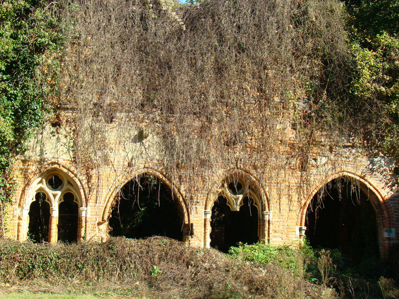 Photos des ruines de l'abbaye de Divielle - Goos
